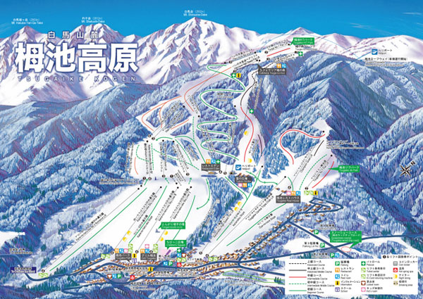 パウダースノーが楽しめる雪質が良いゲレンデ：栂池高原スキー場